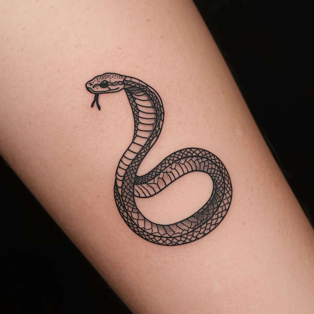 Coiled snake in blackwork style, detailed scale texture, precise linework.