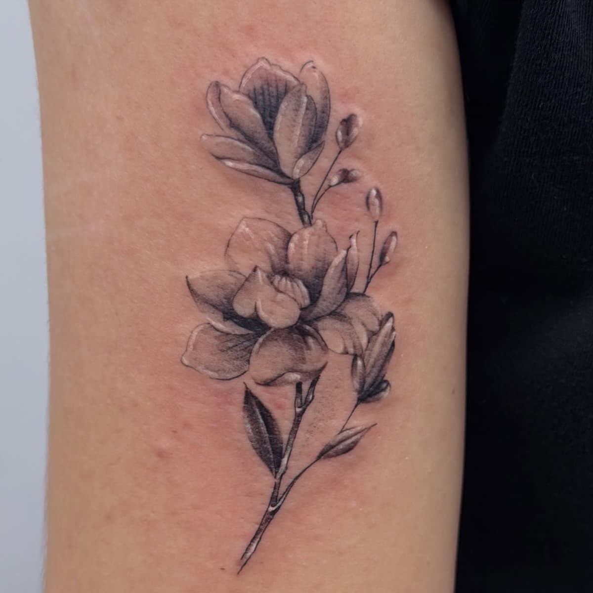 Nicola Talamo — tatouage